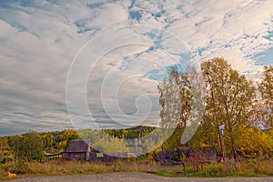 Autumn evening by the forest edge