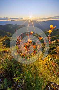 Autumn evening at Jelenska skala rock