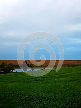 Autumn evening landscape of nature with an orange and green field, a lake and a beautiful evening, cloudy, blue sky.