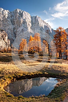 Autumn evening in mountains