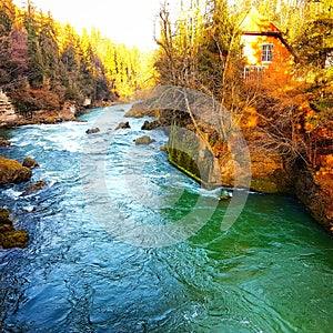 Autumn excursion at Traunfall