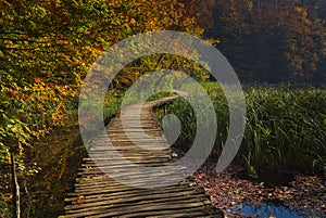 Autumn fairytale in the national park.