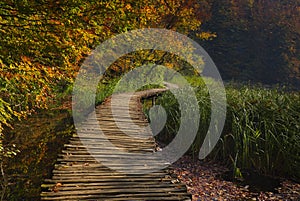 Autumn fairytale in the national park.