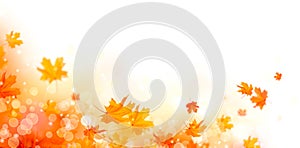 Podzim. pokles abstraktní barvitý listy a slunce světlice 