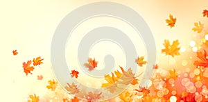 Autumn. Fall abstract background with colorful leaves and sun flares