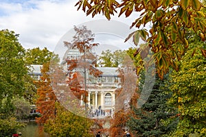 Autumn. Fall. Autumn landscape. Autumn colors. Palacio de Cristal. Madrid. El Retiro Park.