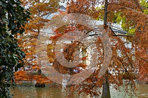 Autumn. Fall. Autumn landscape. Autumn colors. Palacio de Cristal. Madrid. El Retiro Park.