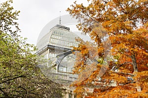 Autumn. Fall. Autumn landscape. Autumn colors. Palacio de Cristal. Madrid. El Retiro Park.