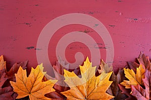 Autumn Fall background