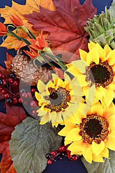 Autumn Fall Background closeup.