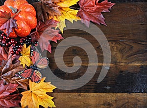 Autumn Fall background with copy space