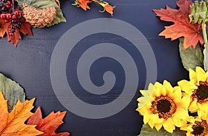 Autumn Fall Background with Decorated Borders.