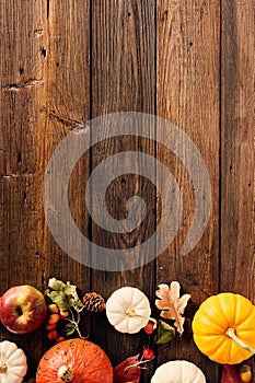 Autumn fall background with pumpkins, acorns, berries, oak leaves on wooden table