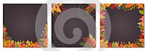 Autumn or Fall background set with colorful leaves. Square banner or leaf frame or border templates.