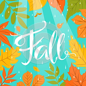 Autumn fall colorful border frame background with park leaves rain drops and beams