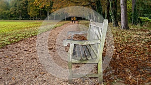 Autumn fall colors in a park with an chair