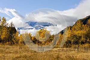 Autumn Fall Colors Similkameen Valley