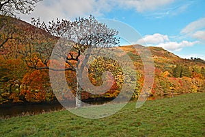 Autumn Fall colours in Glen Lyon, Scotland