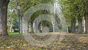 Autumn, fall concept video, many dried leaves at public groun