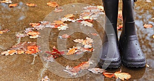 Autumn Fall concept wellington boots leaves