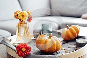 Autumn, fall cozy mood composition for hygge home decor. Small pumpkins, burning candles and fresh dahlia flowers on the