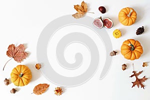 Autumn, fall creative composition of orange pumpkins and figs. Colorful maple and oak leaves, flowers, acorns isolated