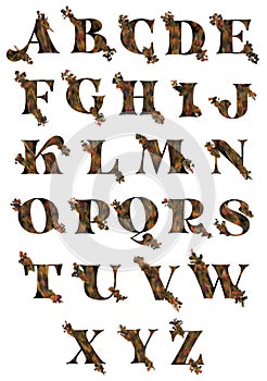 Autumn Fall Decorated Letters Alphabet