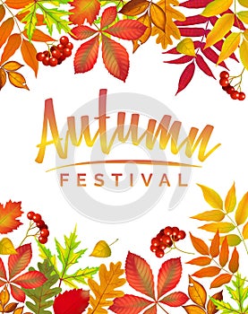 Autumn Fall festival A4 poster announcement, invitation banner with fallen leaves
