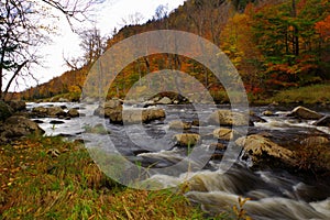 Autumn / Fall foliage in the Adirondack Mountains High Peaks Region