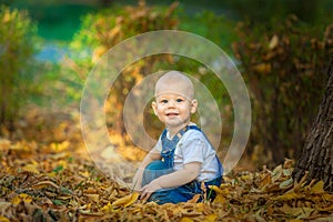 Autumn, fall, girl, child, little, happy, kid, nature, park, leaves, season, portrait, yellow, foliage, baby, outdoor, caucasian,