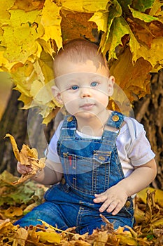 Autumn, fall, girl, child, little, happy, kid, nature, park, leaves, season, portrait, yellow, foliage, baby, outdoor, caucasian,