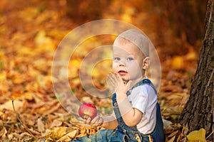 Autumn, fall, girl, child, little, happy, kid, nature, park, leaves, season, portrait, yellow, foliage, baby, outdoor, caucasian,