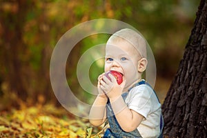 Autumn, fall, girl, child, little, happy, kid, nature, park, leaves, season, portrait, yellow, foliage, baby, outdoor, caucasian,