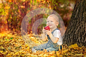 Autumn, fall, girl, child, little, happy, kid, nature, park, leaves, season, portrait, yellow, foliage, baby, outdoor, caucasian,