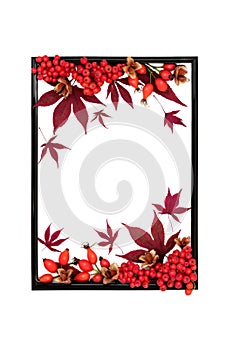 Autumn Fall Harvest Festival Background Frame