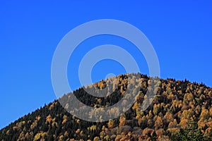 Autumn fall hillside and blue sky