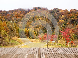 Autumn fall landscape forest at Shin-Hotaka