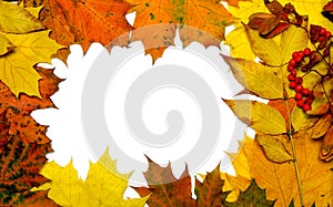 Autumn fall leaf frame