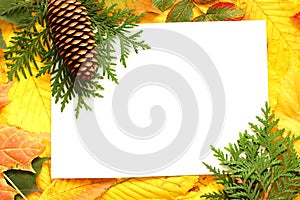 Autumn fall leaf frame