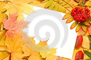 Autumn fall leaf frame