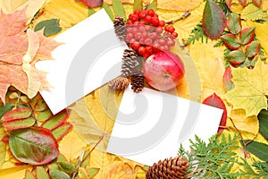 Autumn fall leaf frame