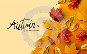 Autumn Fall Leaves Background