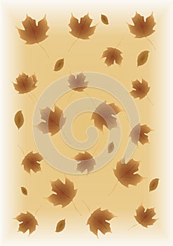 Autumn Fall leaves background