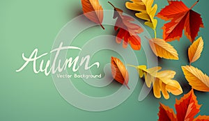Autumn Fall Leaves Background Layout