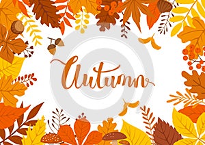 Autumn fall leaves branches twigs background