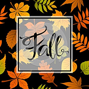 Autumn fall leaves foliage background on seamless pattern