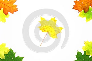 Autumn fall leaves - frame