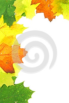 Autumn fall leaves - frame