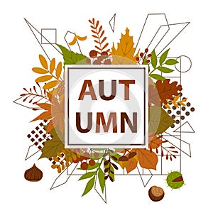 Autumn fall leaves frame background