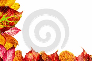 Autumn fall leaves frame border